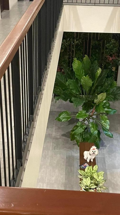 A&E Apartelle Bacolod Ngoại thất bức ảnh